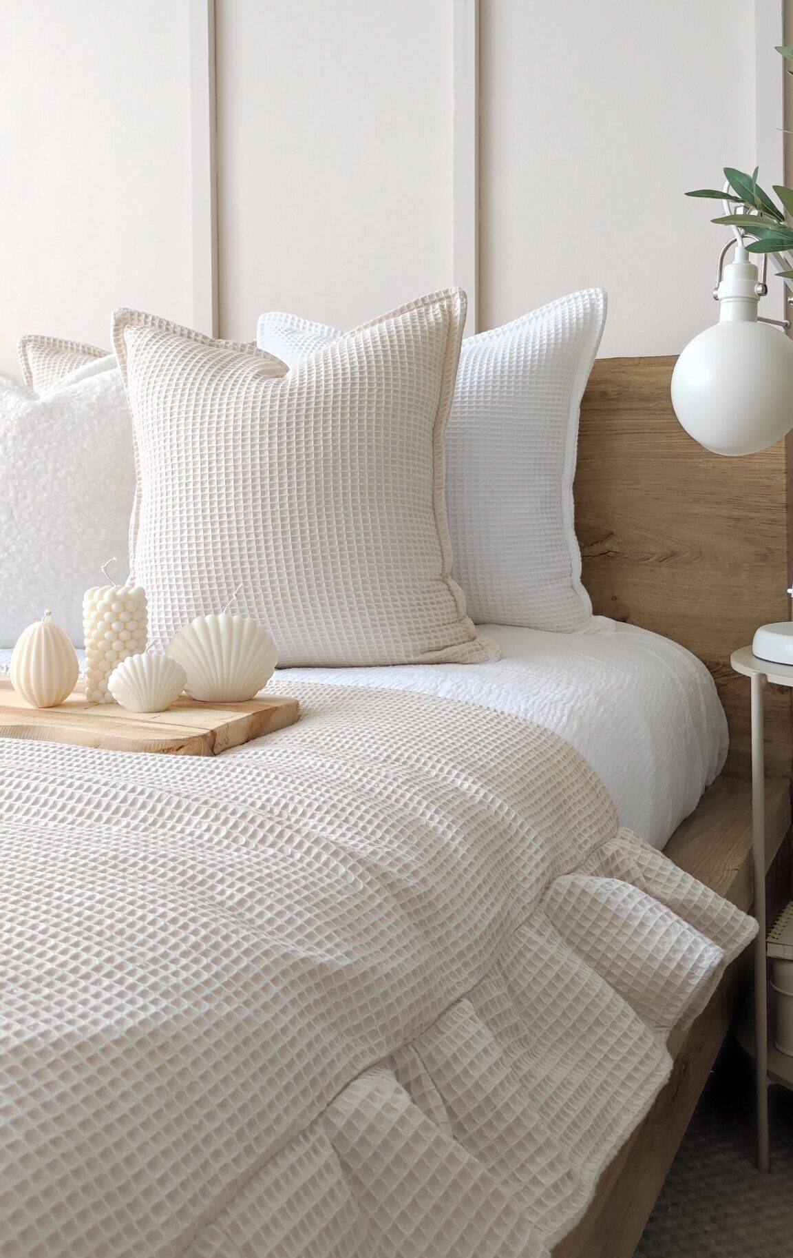 IMG 20240310 115059[1]