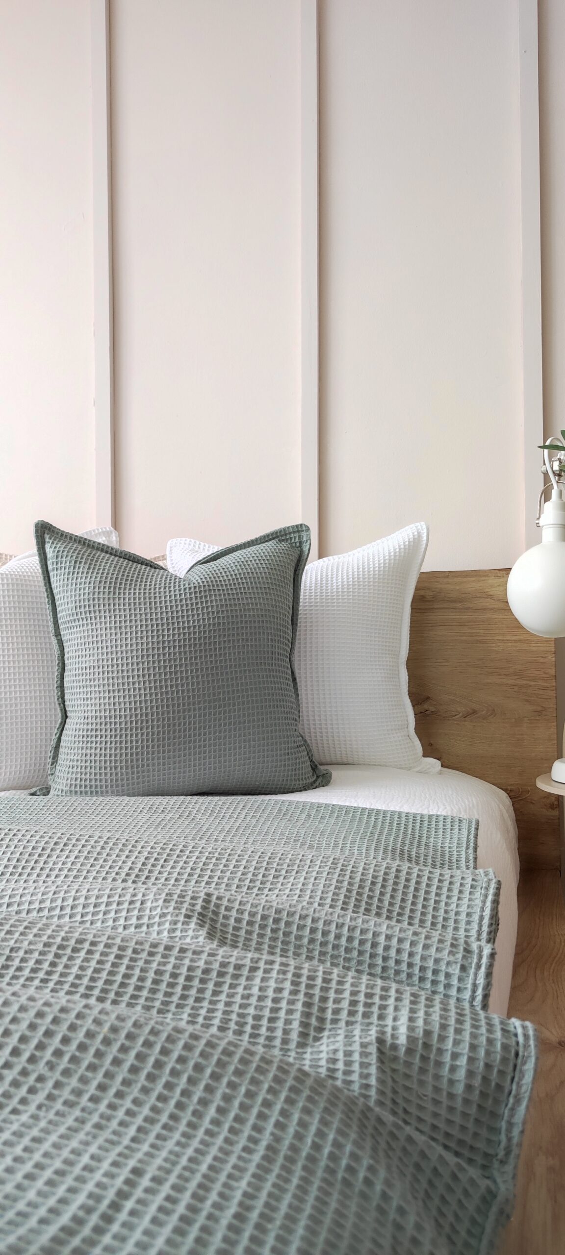 IMG 20240310 120447[1]