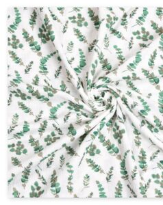 IMG 20240824 184622[1]