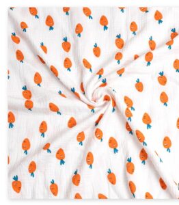 IMG 20240824 185638[1]